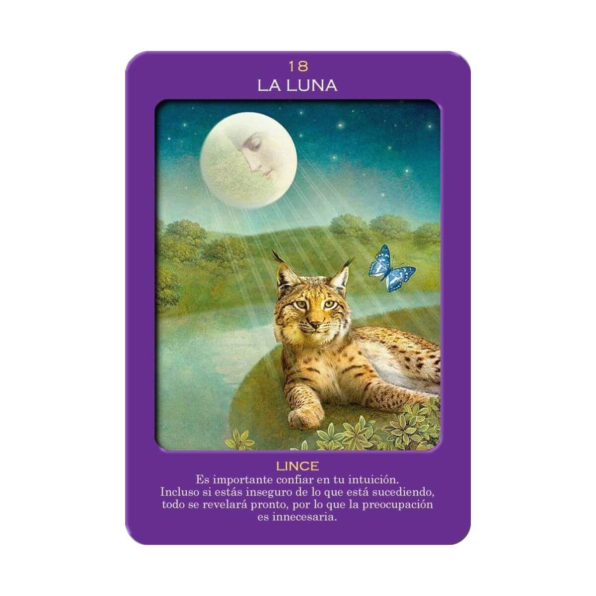 Tarot de los Animales Libro y 78 Cartas Original