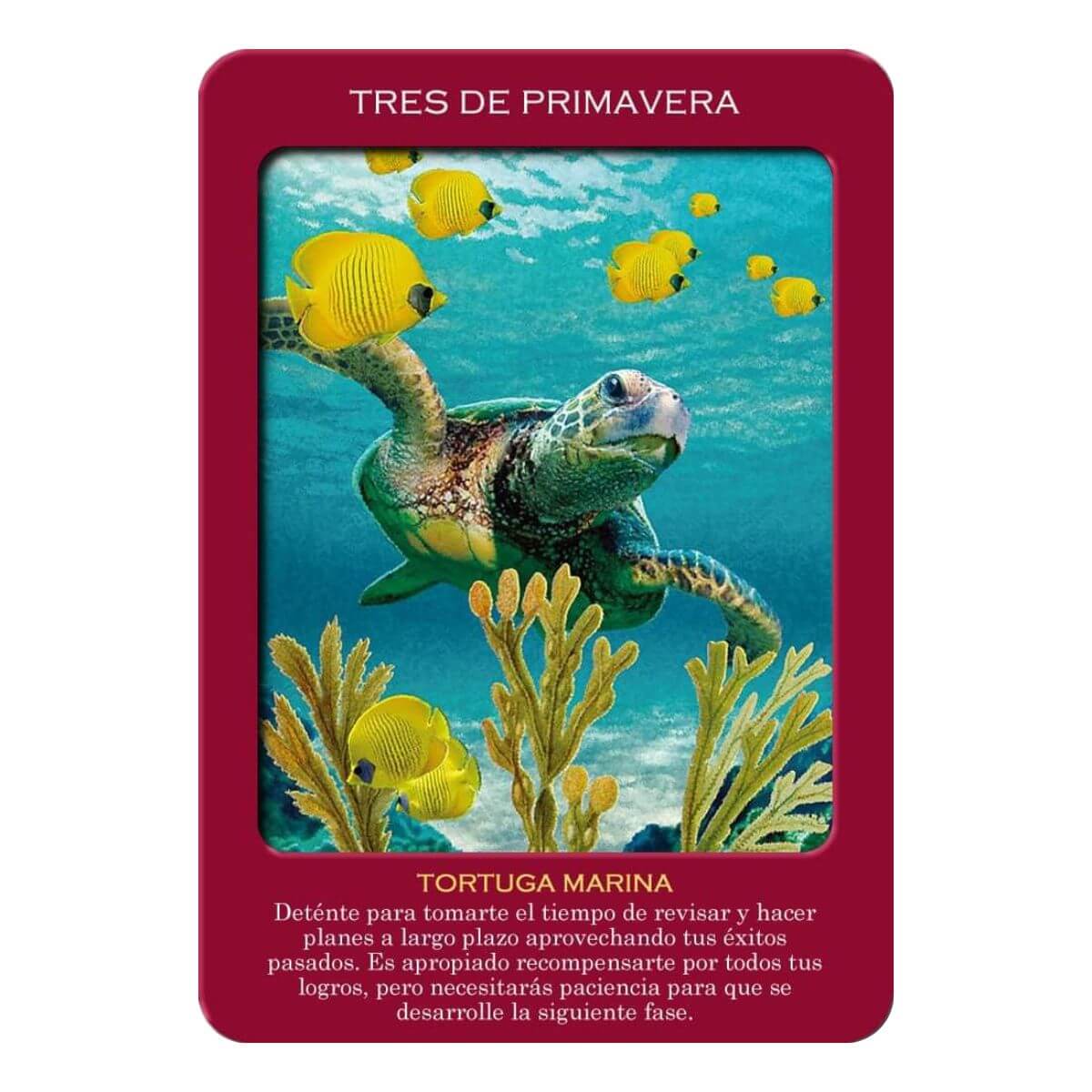 Tarot de los Animales Libro y 78 Cartas Original